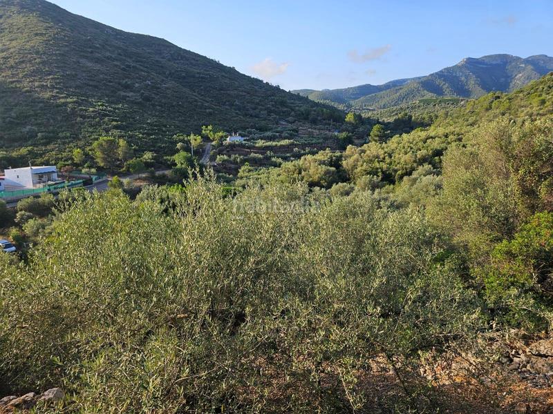 Foto ce0a228f-aa86-4396-9b63-2b2ef3a3049e. Propriété dans Valletes - Xiribecs Amposta