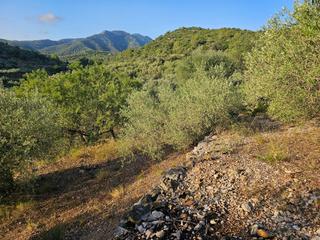 Rural plot in Valletes - Xiribecs. Finca rústica en fabaret, amposta