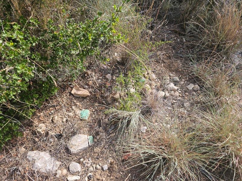 Foto 43392b9c-12fa-4124-952c-061bdd1a0141. Fondo rustico in Alcanar