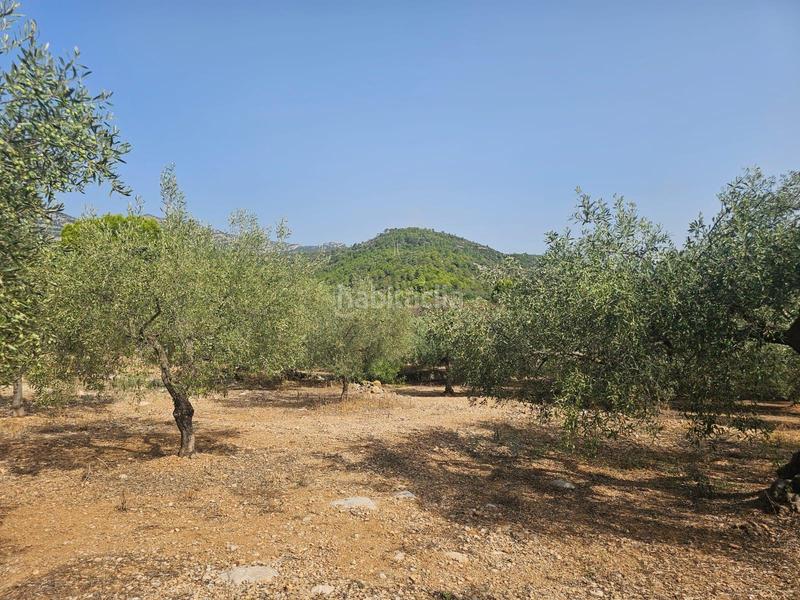 Foto 8a3a453c-8581-4b2e-82f0-0a696ab8f4f2. Fondo rustico in Alcanar