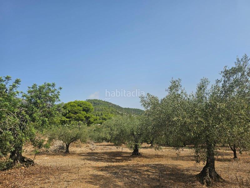 Foto 90ef555f-e2f8-48f5-9c90-7dcfa053138e. Fondo rustico in Alcanar