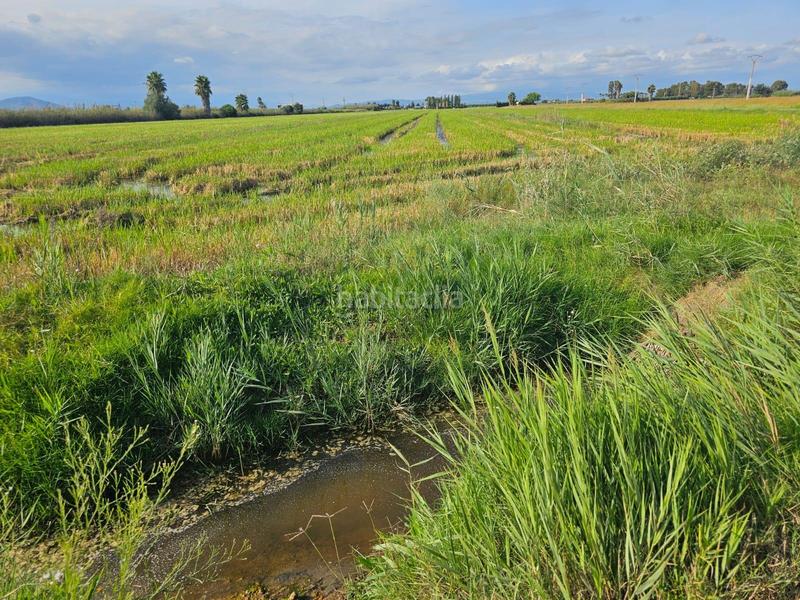 Foto 4ace8f3e-74ea-4617-b131-23572d397dd0. Landgut in Nord Sant Carles de la Ràpita