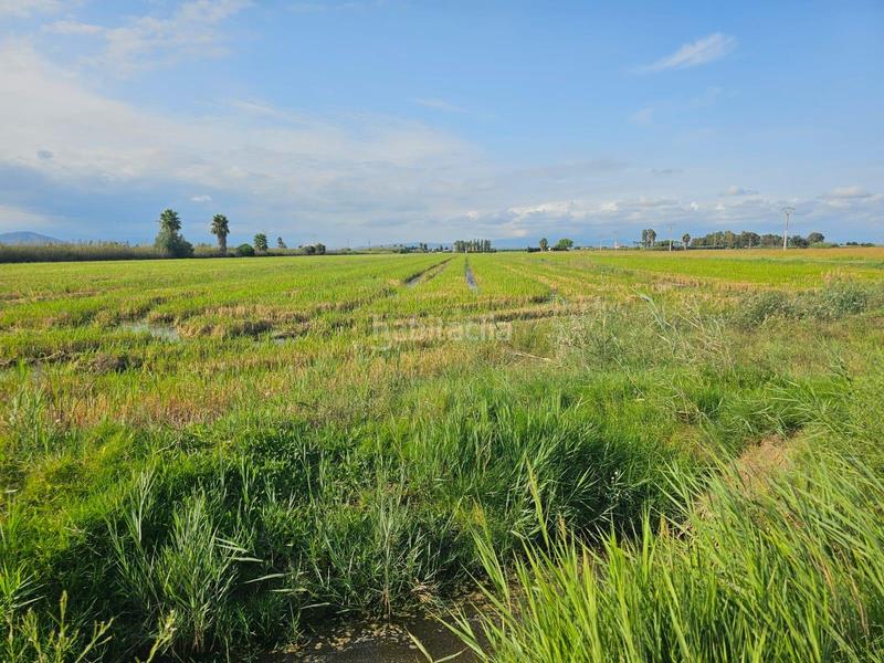 Foto fab5390d-5fc5-46fe-a370-2e0c7586eb9d. Landgut in Nord Sant Carles de la Ràpita