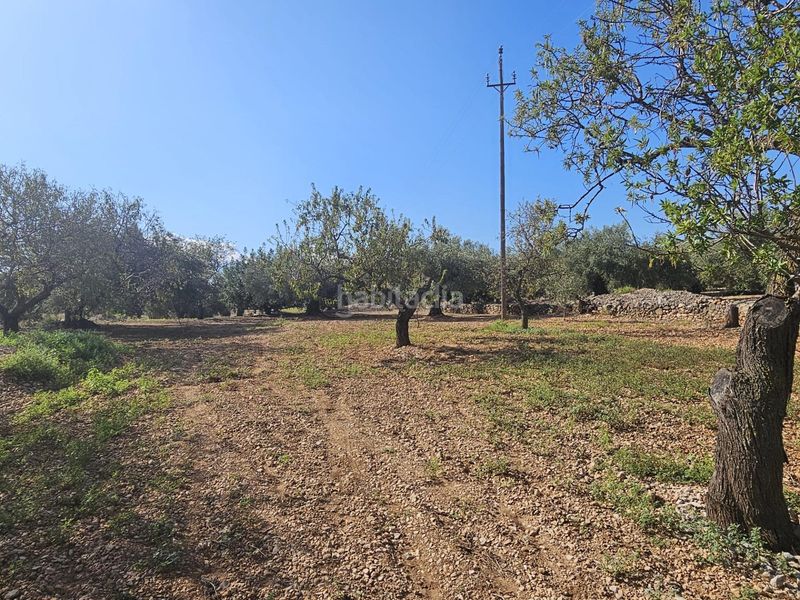 Foto 21ce9a98-b289-49f8-9cf4-f9bfcf858f80. Area edificabile industriale in Centre La Ràpita