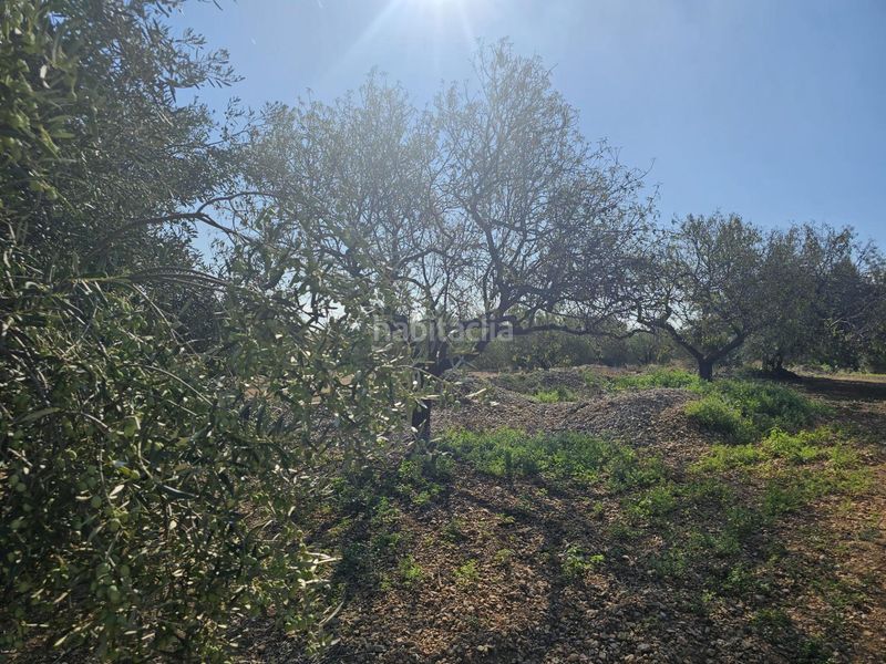 Foto 991de2f3-934b-4ab2-8f86-a880da8cfafc. Area edificabile industriale in Centre La Ràpita