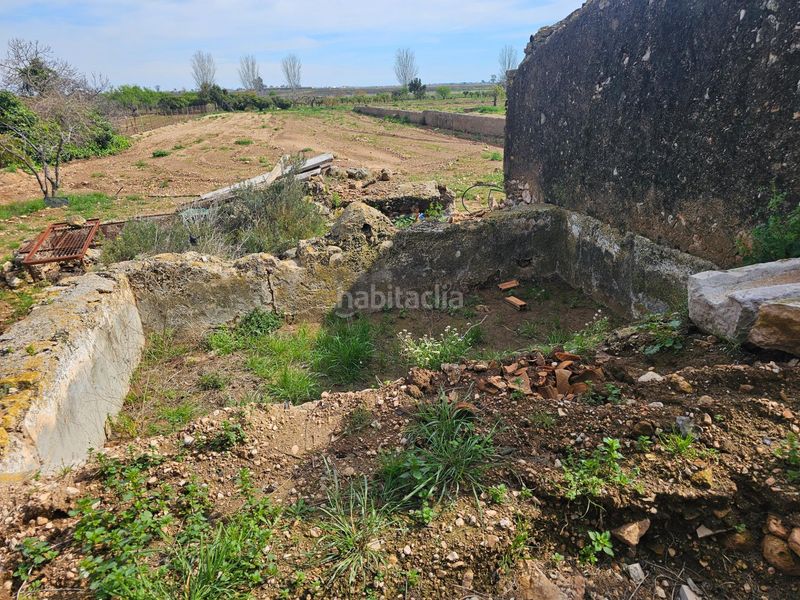 Foto 4304eed5-d083-4b93-9e52-ba507685020c. Finca rústica a Eucaliptus - Poble Nou del Delta Amposta