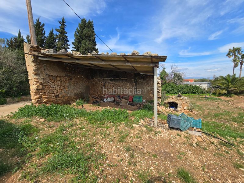 Foto 4cac9548-0015-4377-93ac-1cc54447499f. Finca rústica a Eucaliptus - Poble Nou del Delta Amposta