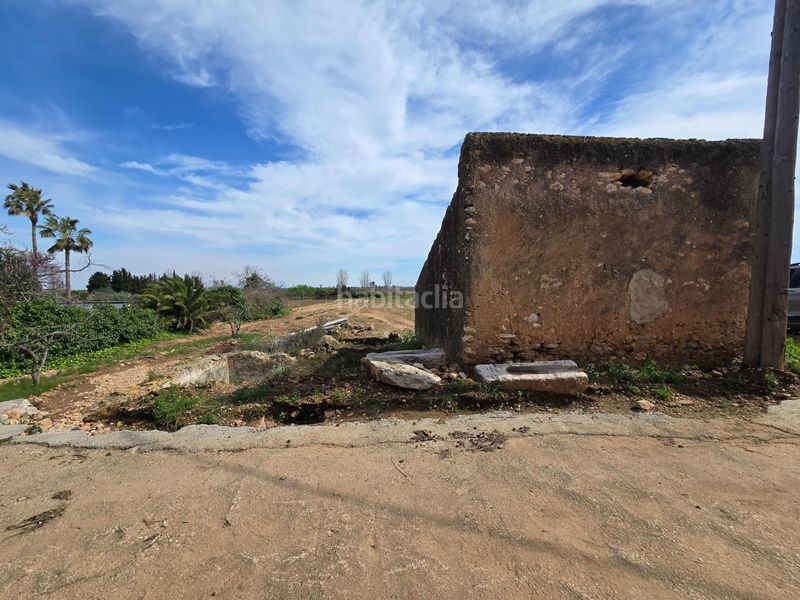 Foto 6c335f55-d847-41c6-a2a9-59588ed2f311. Finca rústica a Eucaliptus - Poble Nou del Delta Amposta