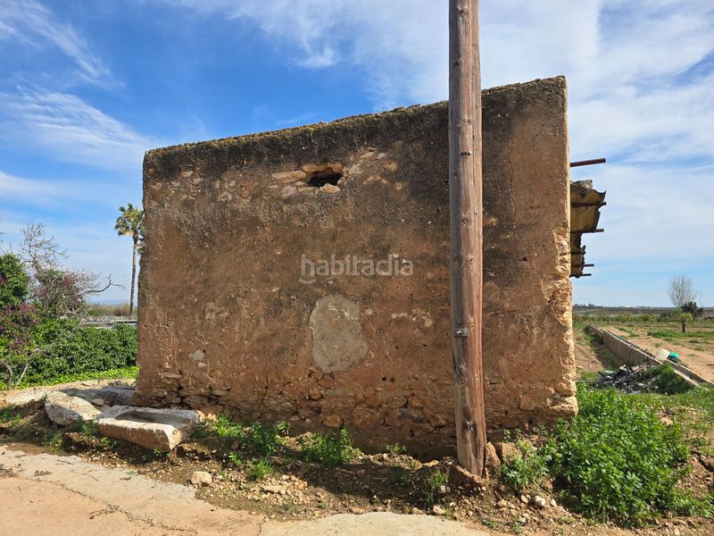 Foto 7d58438f-8cf1-4778-9d31-c3104c343ec6. Finca rústica a Eucaliptus - Poble Nou del Delta Amposta