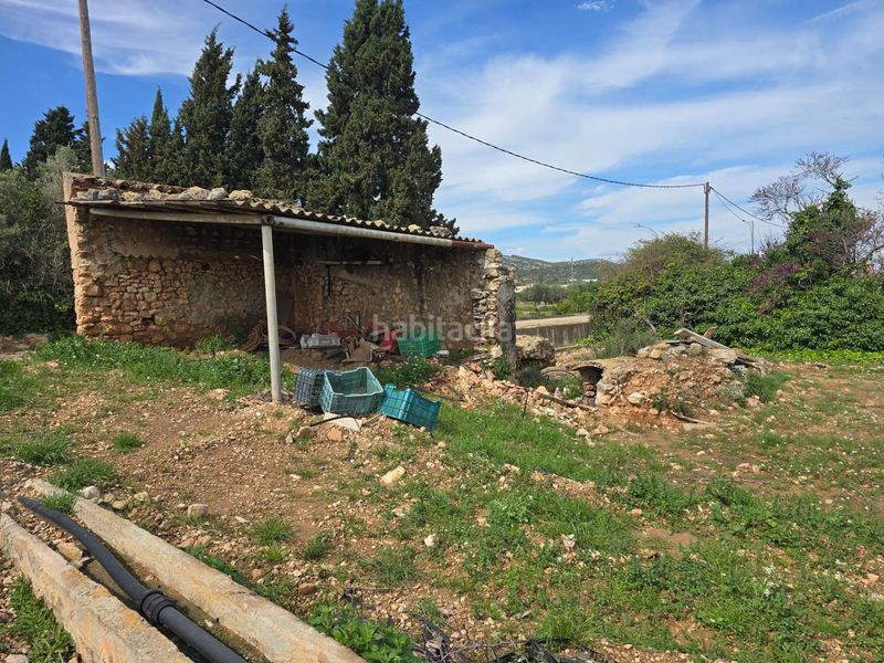 Foto 7eef5aab-37c4-453c-ae40-53f2714db134. Finca rústica a Eucaliptus - Poble Nou del Delta Amposta