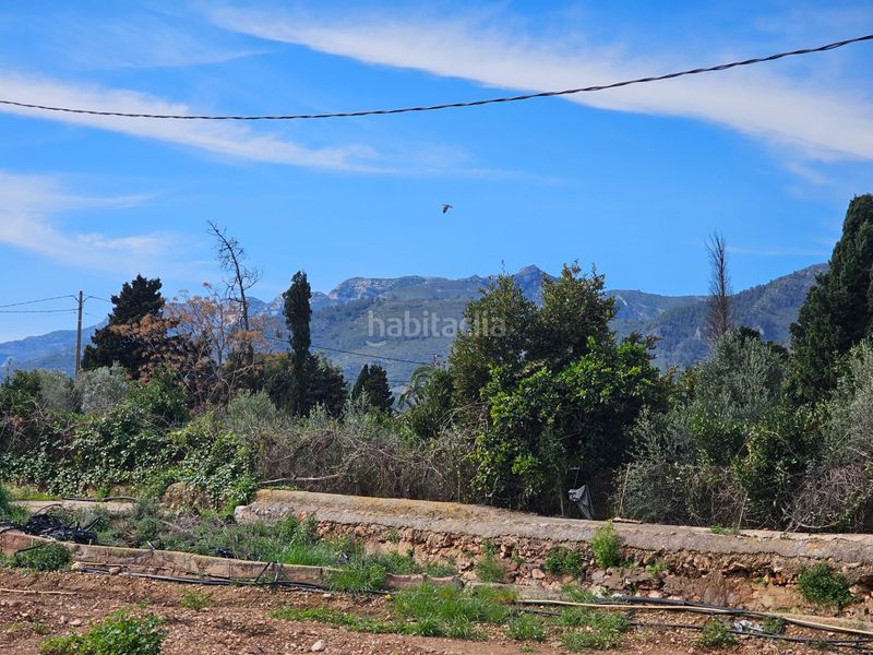 Foto 874b2a58-1c04-4c84-a246-fb6ba628992e. Finca rústica a Eucaliptus - Poble Nou del Delta Amposta