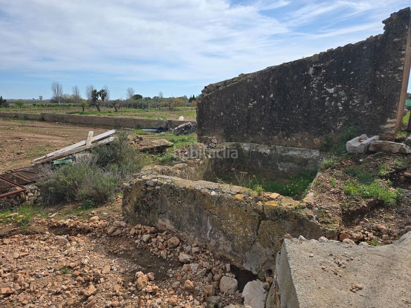 Foto a829d24d-2d85-4668-9993-adbbef94a47a. Finca rústica a Eucaliptus - Poble Nou del Delta Amposta