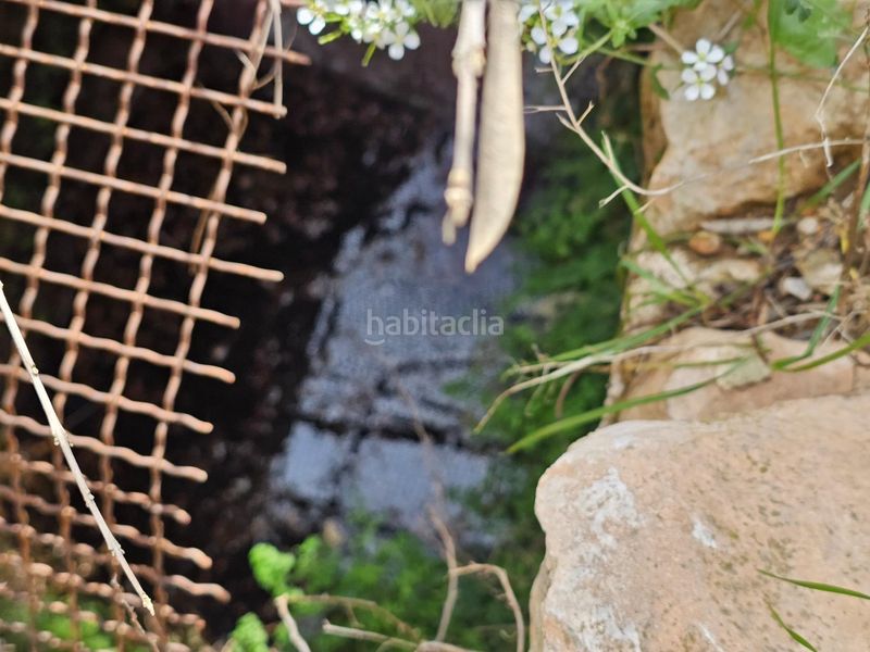 Foto c16ccbb3-45da-4a3f-8e72-decbb14555ac. Finca rústica a Eucaliptus - Poble Nou del Delta Amposta