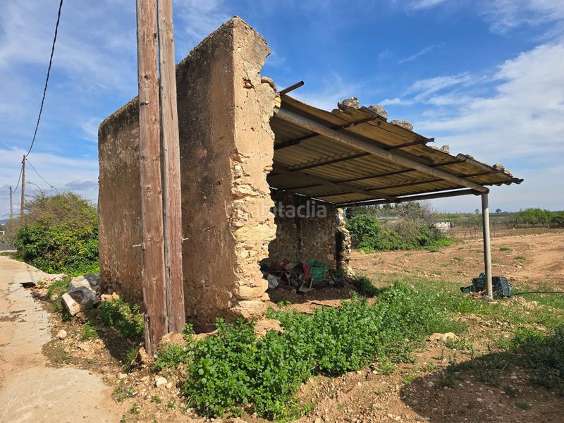 Foto d47ea92f-b9f4-4ddb-b800-940c4575b6f6. Finca rústica a Eucaliptus - Poble Nou del Delta Amposta