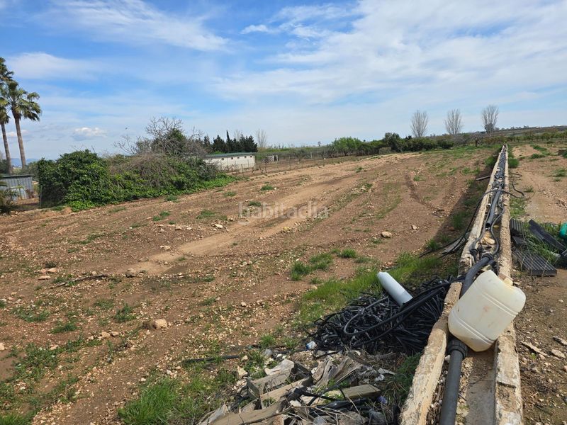 Foto f7277c39-f65e-4c7c-a5eb-428cca4ae87f. Finca rústica a Eucaliptus - Poble Nou del Delta Amposta