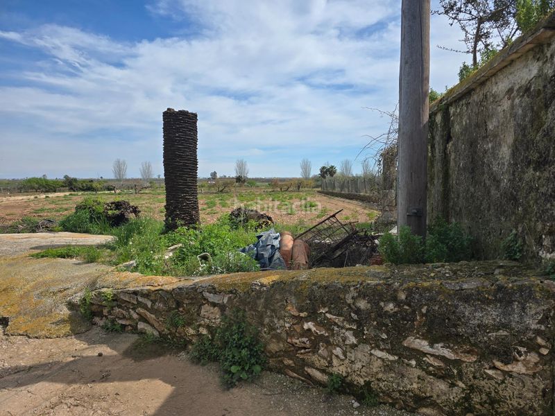 Foto 59b0b563-c3ad-4ea9-aa03-ae1af8abc09c. Masia a Casc Antic Amposta