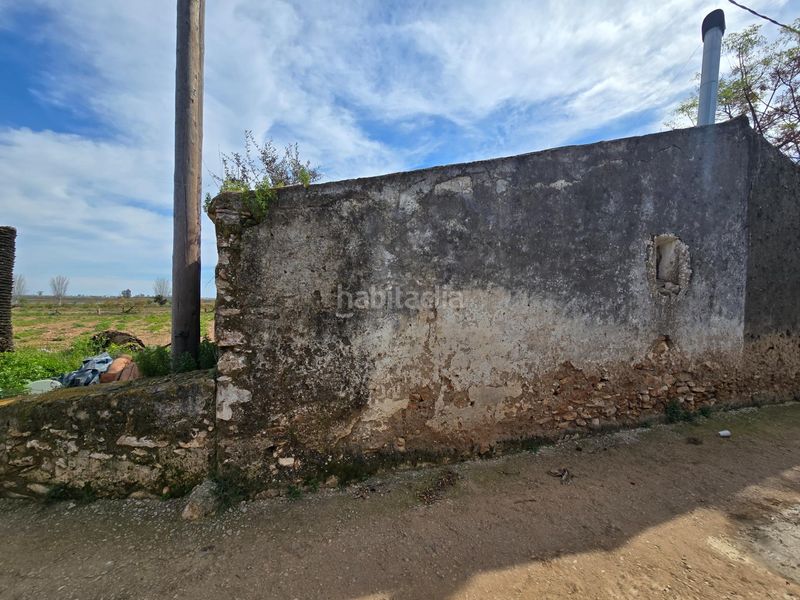 Foto 7a059a46-e7c3-43d5-98f3-53c09a50c81d. Masia a Casc Antic Amposta