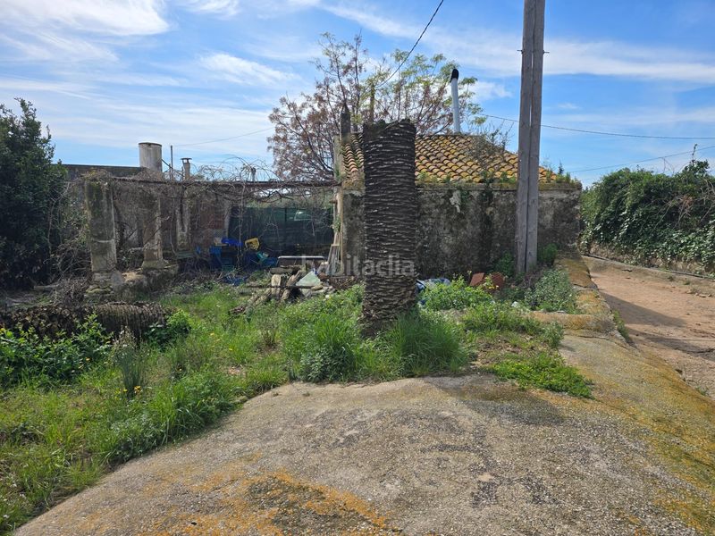Foto ad4dc36e-c4d3-442b-89b3-30cc25e53223. Masia a Casc Antic Amposta