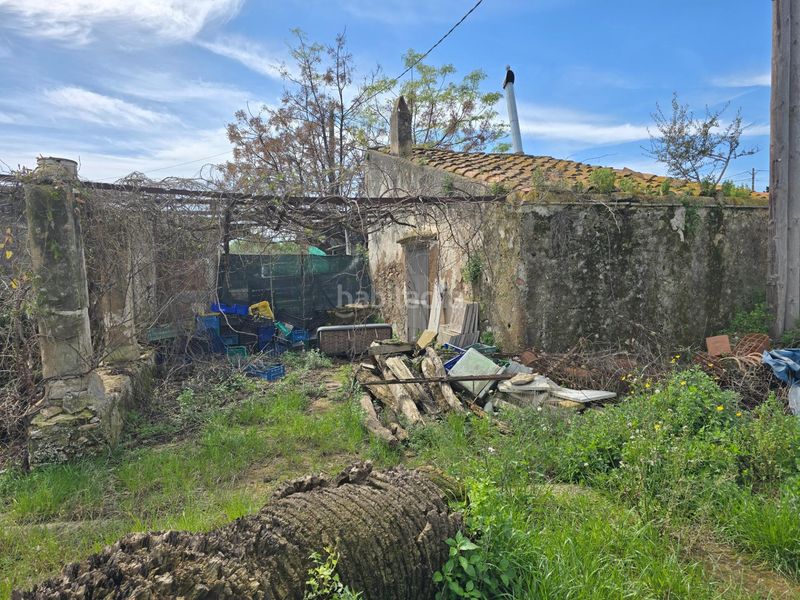 Foto b48699ea-4aae-4011-a8b9-c8657df6733a. Masia a Casc Antic Amposta