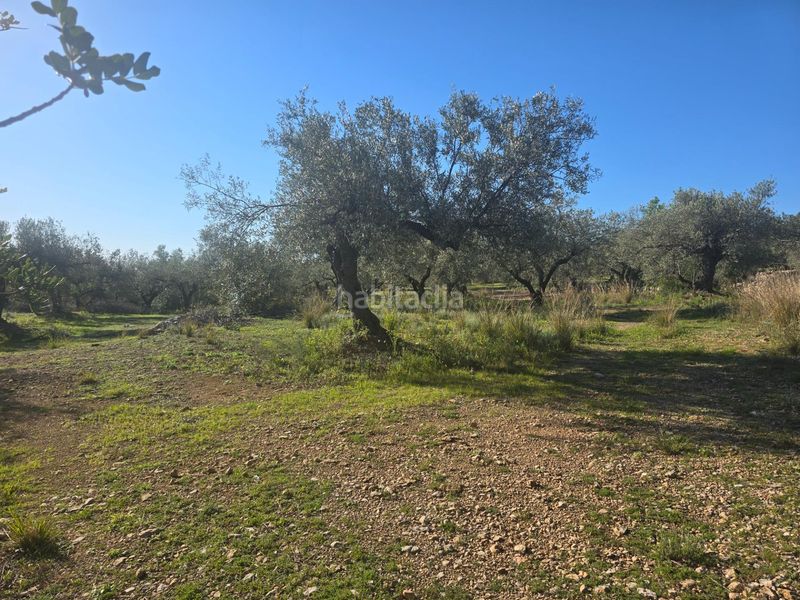 Foto 4c43f9e9-7229-4e3c-b774-0629c8695c89. Finca rústica a Alcanar