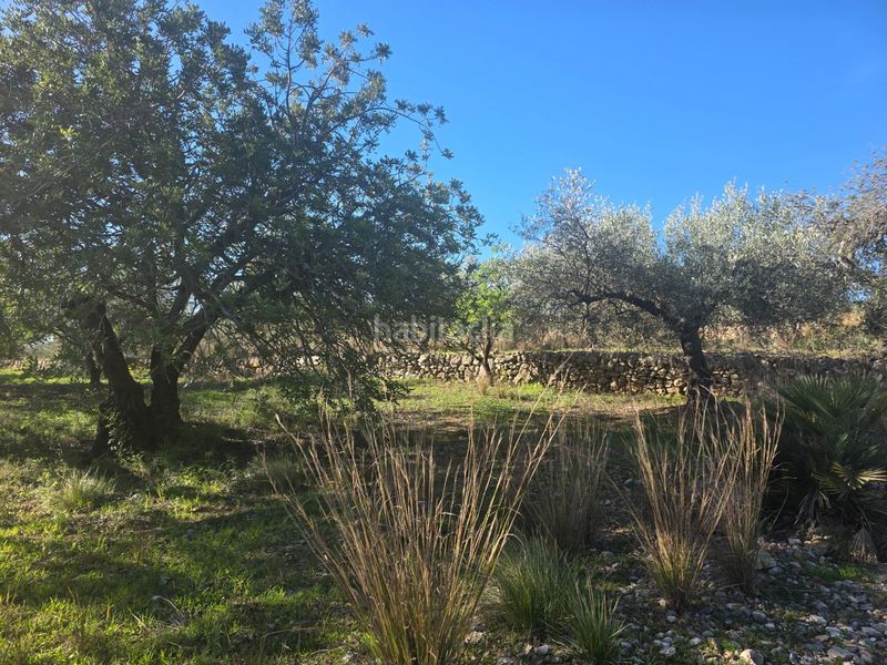 Foto 4d75b5d4-fd54-43b3-a332-f5d14d700671. Finca rústica a Alcanar