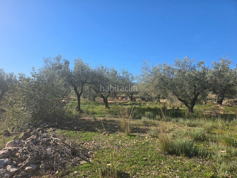 Foto c6d831fd-e010-4bb4-886c-79601ab302e4. Finca rústica a Alcanar