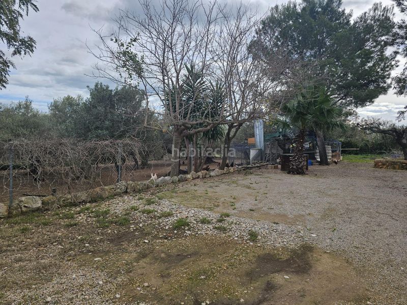 Foto cbb27cd8-03fa-4992-a91f-7972864c46fe. Masia a Valletes - Xiribecs Amposta