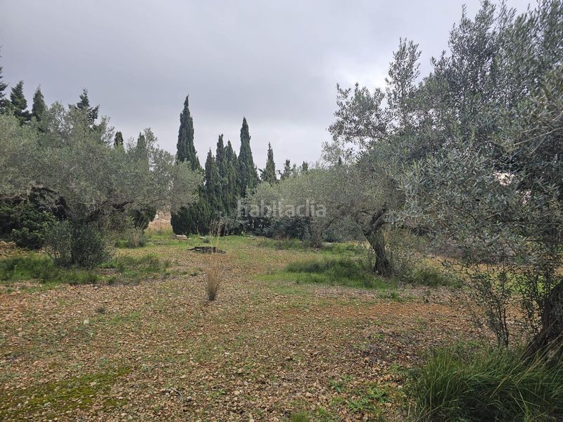 Foto 9ab8b572-820d-410a-b9b7-b49cfcf89b11. Masía finca rústica con olivos junto n340 en Nord La Ràpita