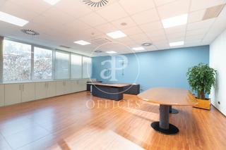 Rent Office space  Carrer del plom. Oficina en alquiler en calle plom