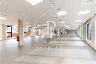Location Bureau  Passatge de mas de roda. Oficinas en alquiler en passatge mas de roda 22
