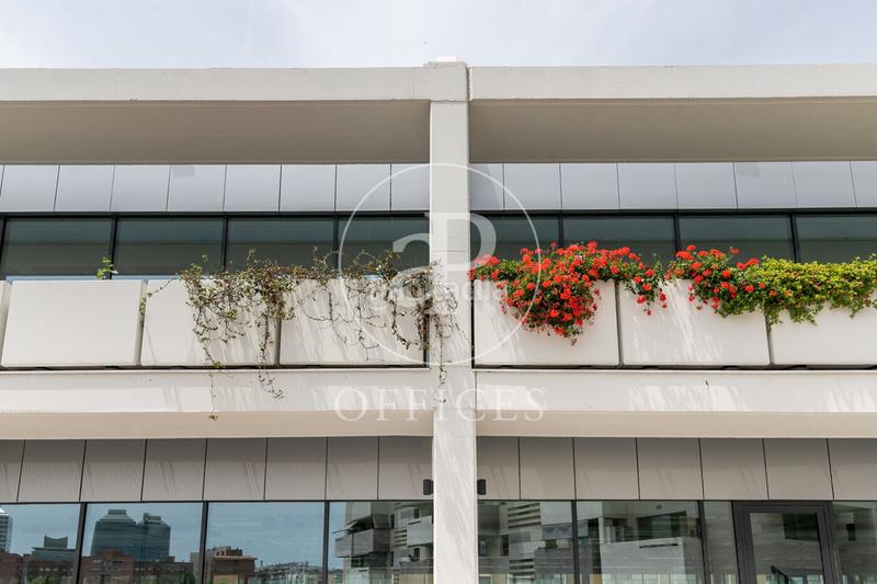 Foto 659f2a91-b1f4-4739-9b89-4d4580cf566c. Affitto ufficio con riscaldamento in La Marina del Port Barcelona