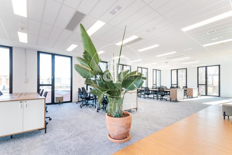 Foto 76f15ed1-8431-442a-b43f-458a1a605d94. Lloguer oficina a El Parc i la Llacuna del Poblenou Barcelona