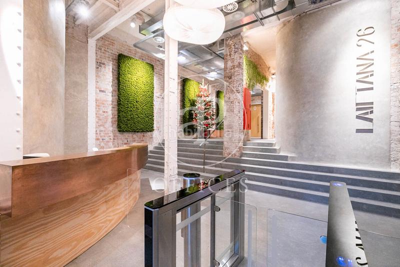 Foto f2a12943-7560-41d8-bd1c-3bb3e6245711. Rent office space with heating in Gòtic Barcelona