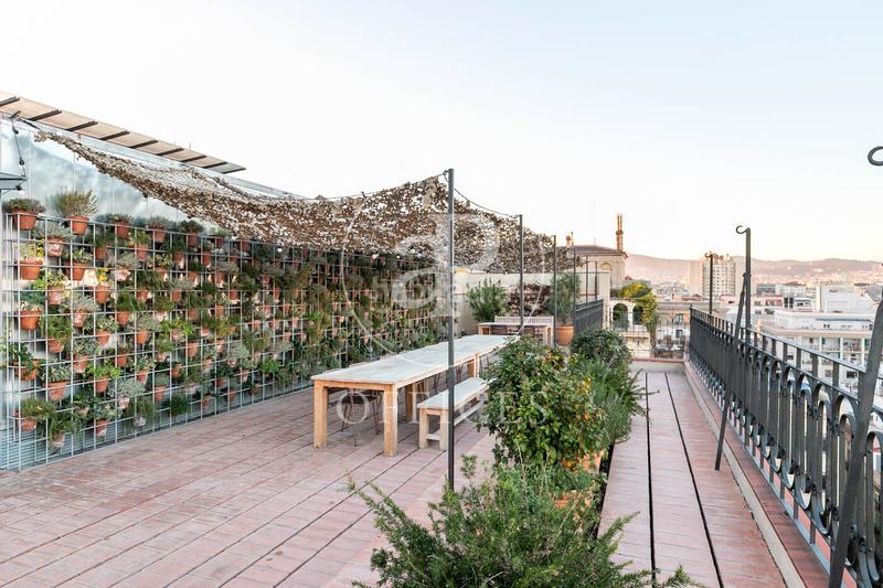 Foto 6d563e52-06c2-46e0-98da-16858b768b3c. Rent office space with heating in Gòtic Barcelona