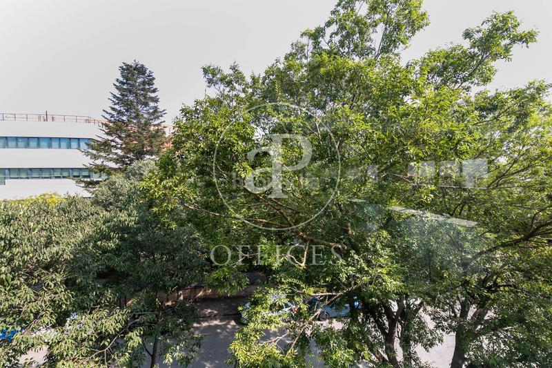 Foto a3212d5d-c95b-4760-bf19-9868555e1033. Miete büro in Roquetes-Can Magí Sant Cugat del Vallès