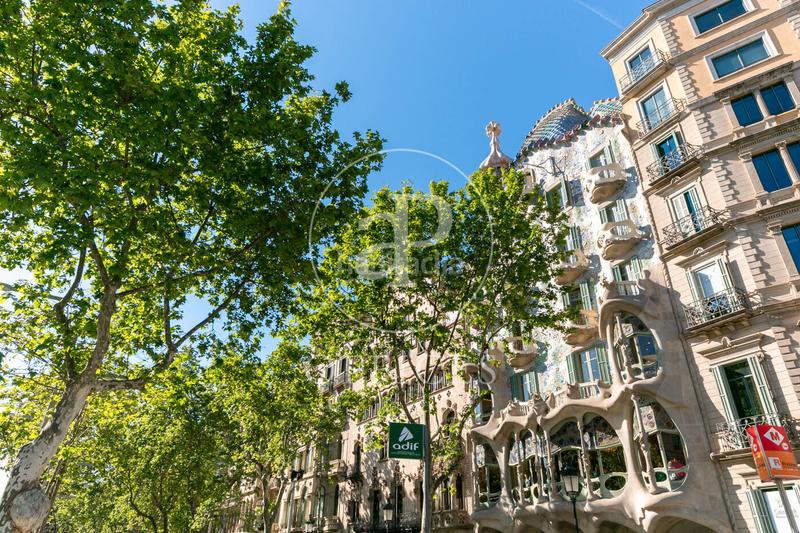 Foto f670c6f6-2ffc-4efd-bdbe-ff715db7f7ac. Rent office space in Vila de Gràcia Barcelona