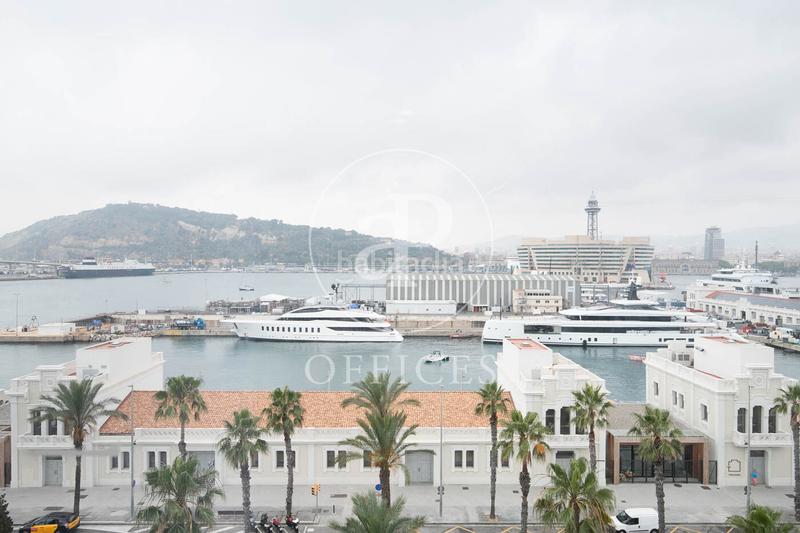 Foto dc065a2d-dae0-48bb-a3c2-e61207359661. Alquiler oficina  en alquiler en el edificio ocean la Barceloneta en Barcelona