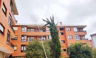 Appartamento in Berango