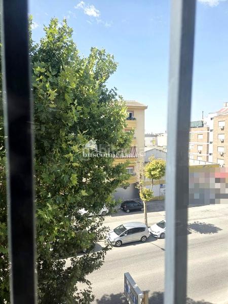 Foto fe467209-bf69-48eb-b81c-cdc340095c91. Pis a de jaén 7 a Torredonjimeno