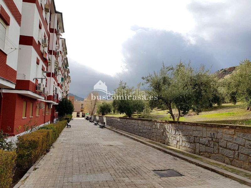Foto 5da11ada-7460-45ef-935c-9848bf92b088. Pis a Alcantarilla - La Glorieta Jaén
