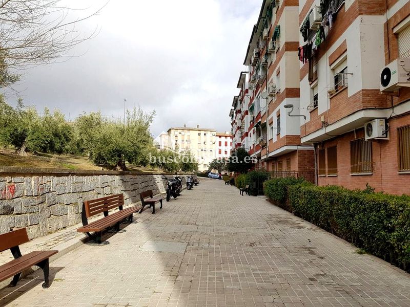 Foto c04d25e4-6117-443c-9bea-f2a262ab9058. Pis a Alcantarilla - La Glorieta Jaén