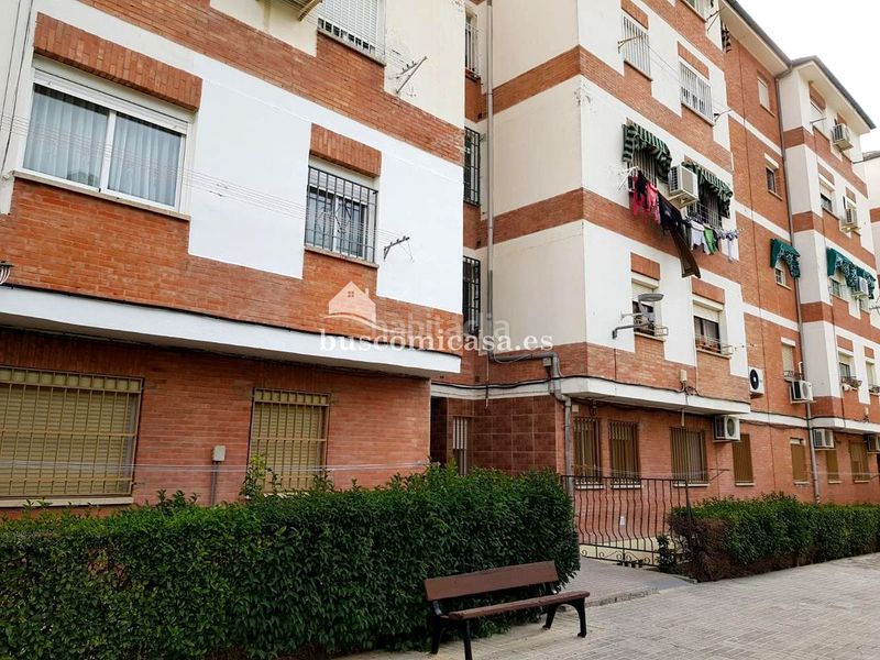 Foto d74fbf25-29d0-4737-8681-920da247c967. Pis a Alcantarilla - La Glorieta Jaén