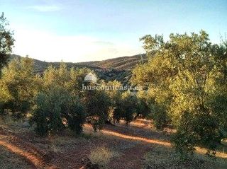 Finca rústica en J-210