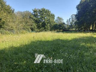 Rural plot  Meñakabarrena auzoa