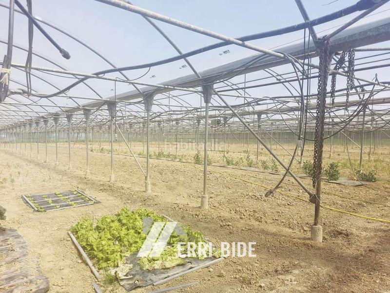 Foto 02ab1164-b46b-4853-a585-87a6f932a072. Finca rústica en Gamiz - Fika