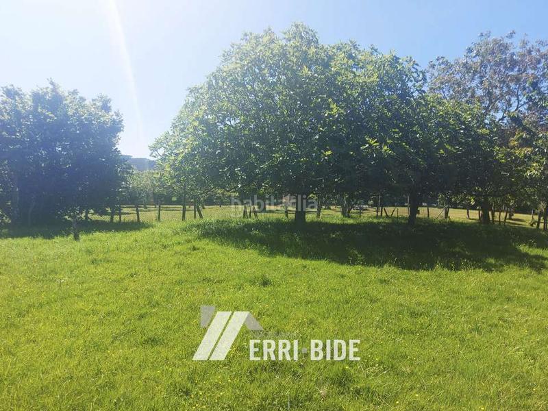 Foto 750dec1c-f4ee-4c93-b7b4-87eef5a561e4. Finca rústica en Gamiz - Fika