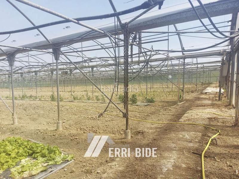 Foto 98f23100-4ee4-4b96-a75b-930a1d29aac9. Finca rústica en Gamiz - Fika