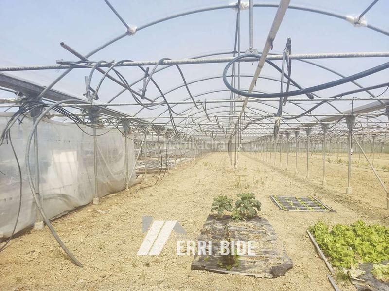 Foto c91489cb-e4d5-4683-be2b-45a56e14f691. Finca rústica en Gamiz - Fika