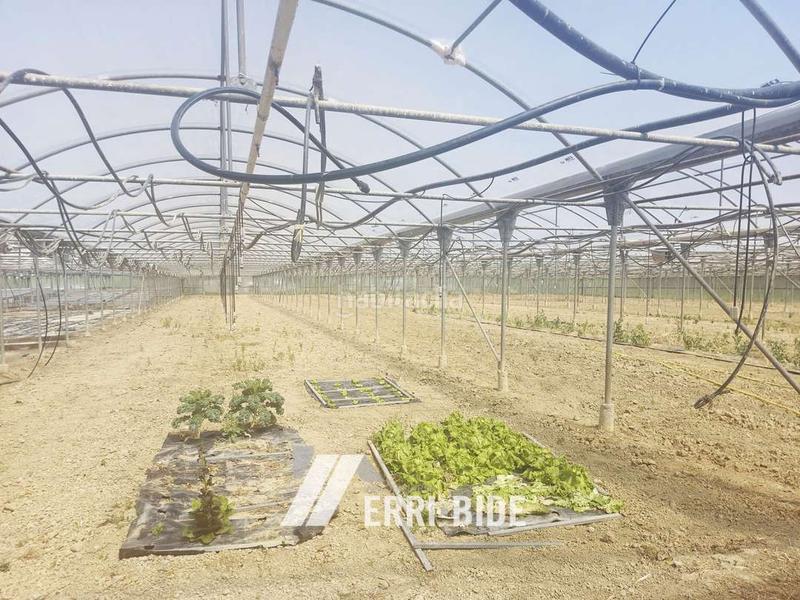 Foto ca97ecc3-50ad-479d-8251-d525f6979842. Finca rústica en Gamiz - Fika