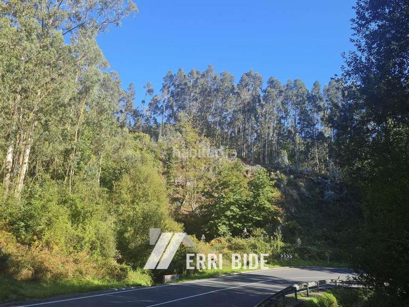 Foto b6a683db-b36e-48e4-8c32-536096f72653. Finca rústica a emerando auzoa 115 a Meñaka